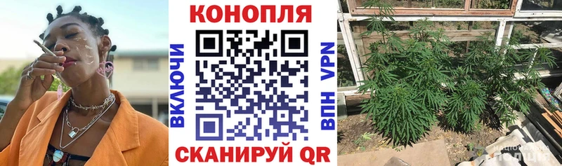 ссылка на мегу ссылки как найти наркотики Могоча Шишки марихуана семена
